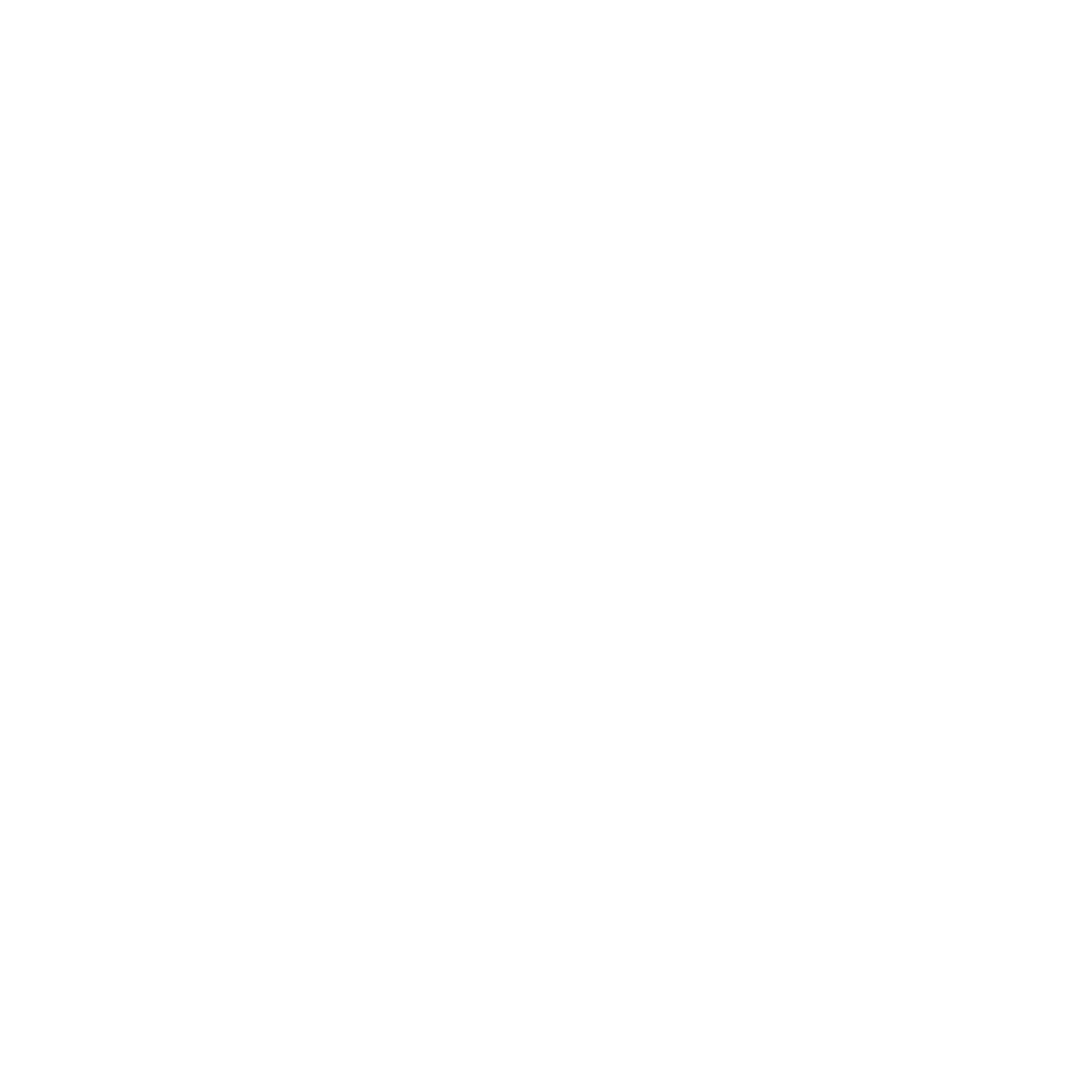 lifecycle support icon